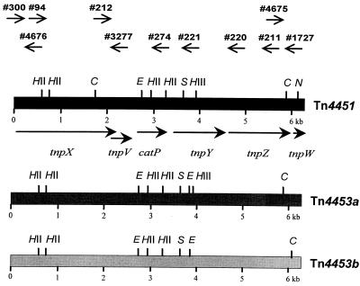 FIG. 1