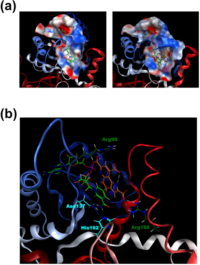 Figure 9