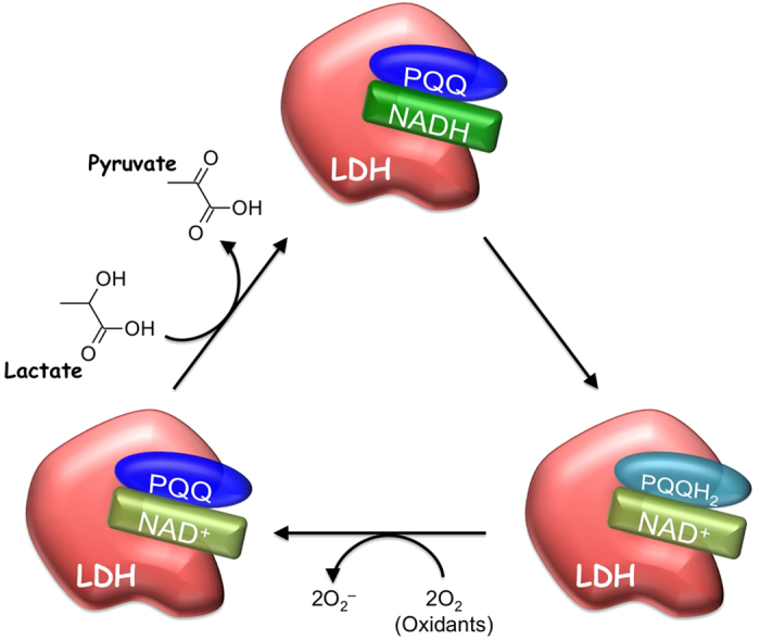 Figure 12