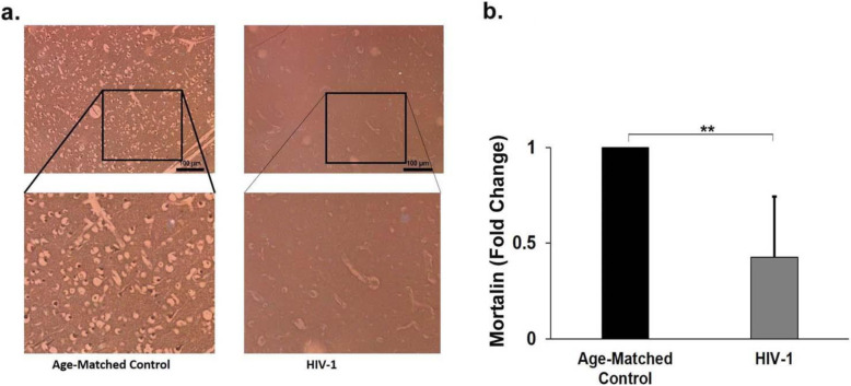 Fig. 9