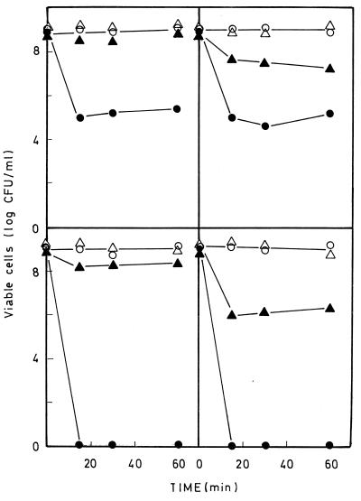 FIG. 5