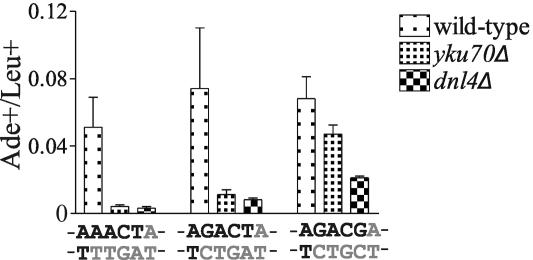 FIG. 5.