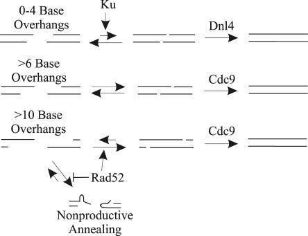 FIG. 8.