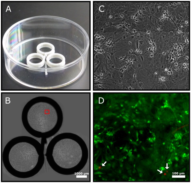 Fig 6