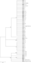 Fig 2