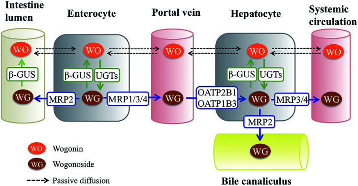 graphic file with name c7ra08270c-ga.jpg