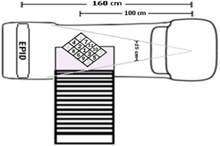 Fig. 1