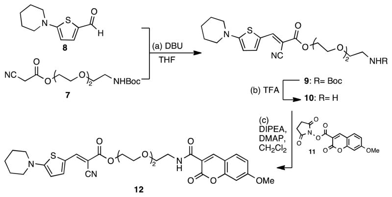 Scheme 2