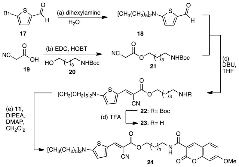 Scheme 4