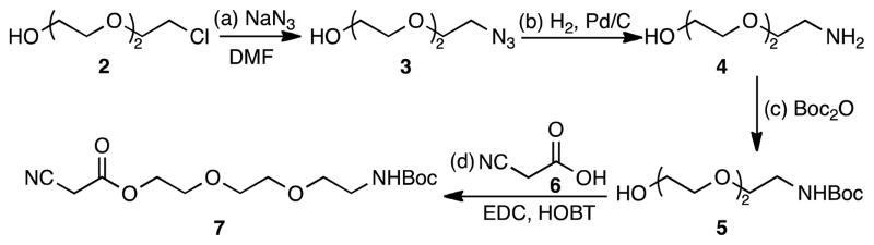 Scheme 1