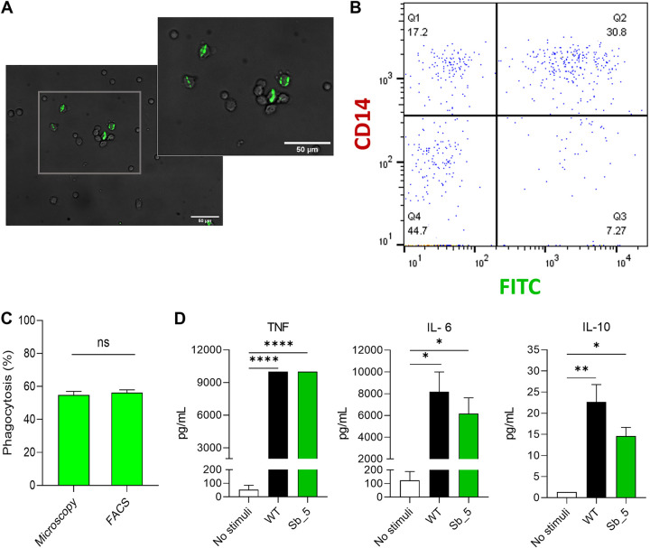 FIG 3