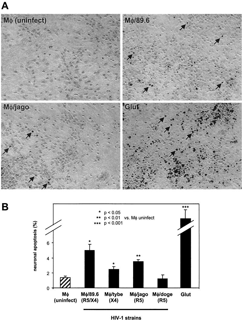 FIG.3.