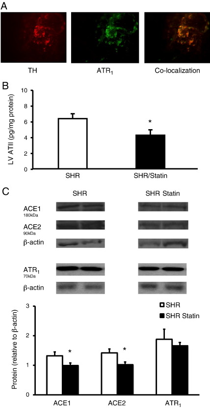 Fig. 6