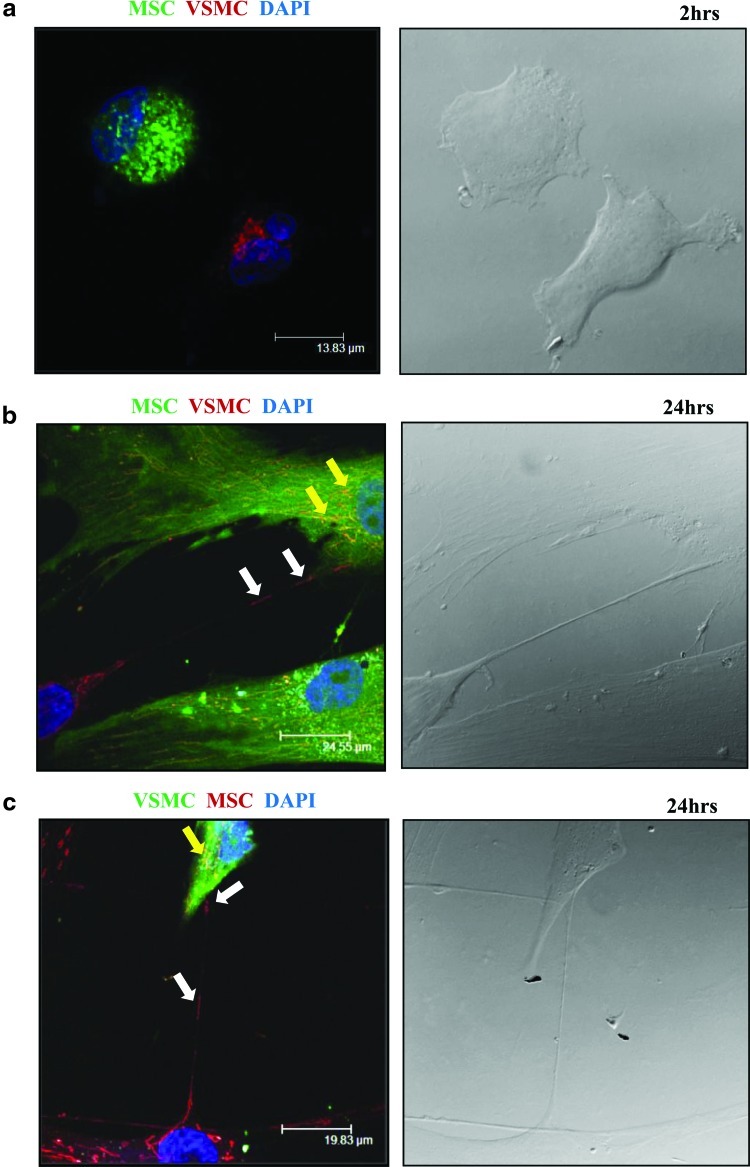 FIG. 4.