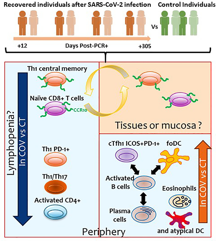 Figure 6