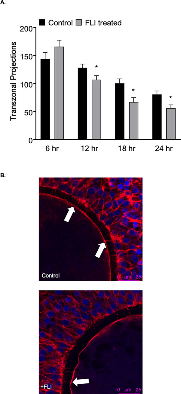 Fig 5