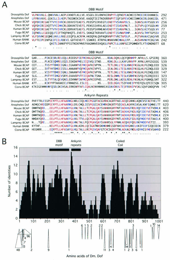 FIG.1.