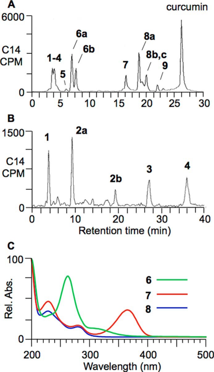 FIGURE 3.