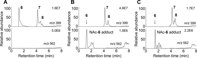 FIGURE 10.