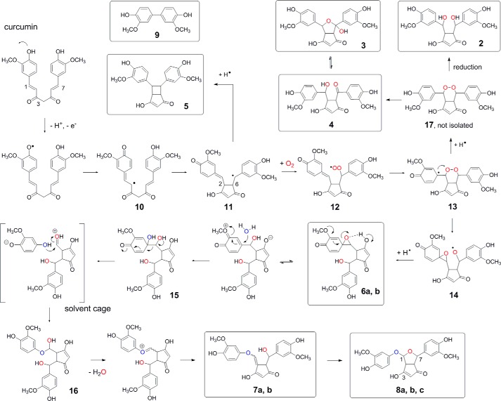 FIGURE 11.