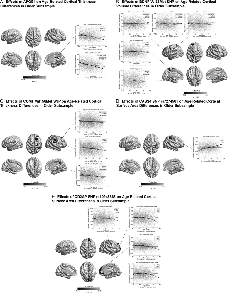 Figure 10.