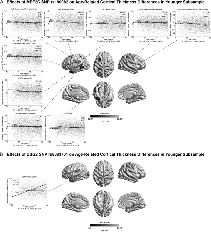 Figure 11.