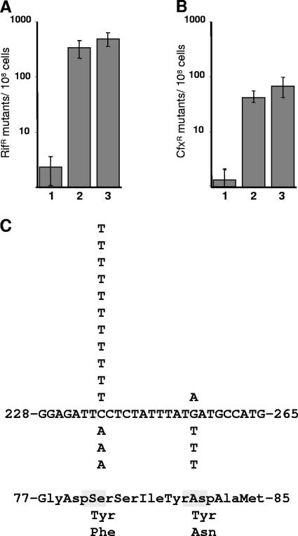 FIG. 1.