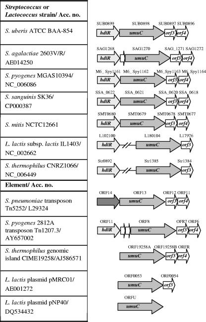 FIG. 8.