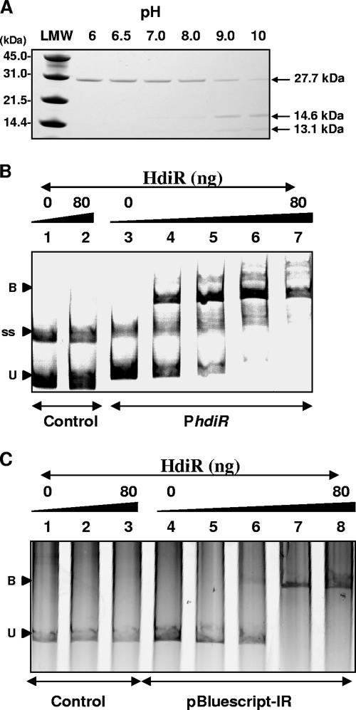 FIG. 7.