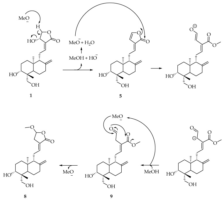 Scheme 3