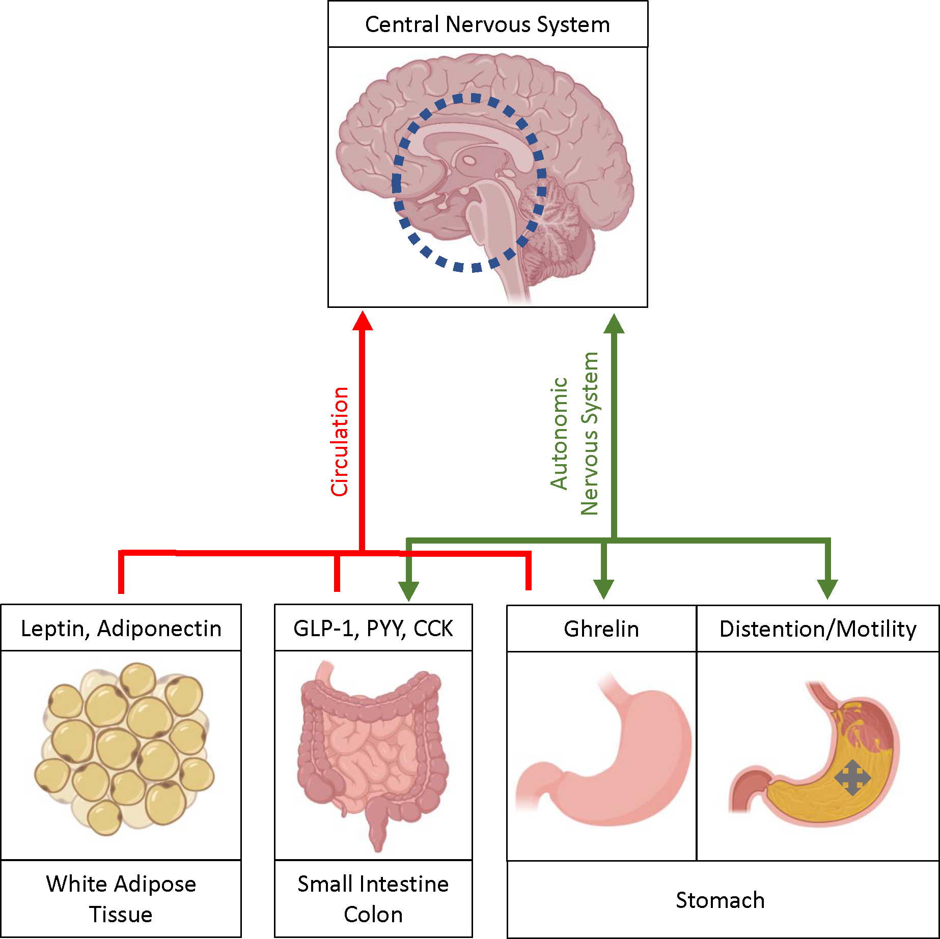 Figure 1: