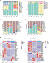 Six graphs are shown. Graphs A and B are stacked bar charts depicting the relative abundance of different microbial phyla across various samples. Graphs C and D are stacked bar charts showing the relative abundance of microbial genera in the same samples. Graphs E and F are heat maps visualizing microbial abundance, with gradient colors indicating relative values. Each graph displays variation within and between the specified groups, labeled on the x-axes. The color legend is included for phyla, genera, and group categories.