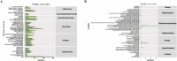 Bar graphs A and B compare functional categories in various groups labeled Rp, OrR and OrL. Graph A displays KEGG Class II categories like Cellular Processes and Metabolism, while Graph B shows guilds such as Pathotroph and Symbiotroph. Abundance is measured along the x-axis.