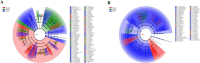 Circular phylogenetic trees labeled A and B display evolutionary relationships among species. Tree A uses red, green, and blue to represent different branches, while tree B shows mostly blue and red branches. Both trees include numerous species names in a surrounding list.