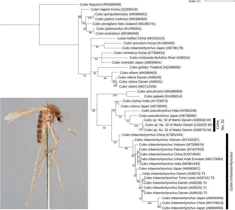 Fig. 2