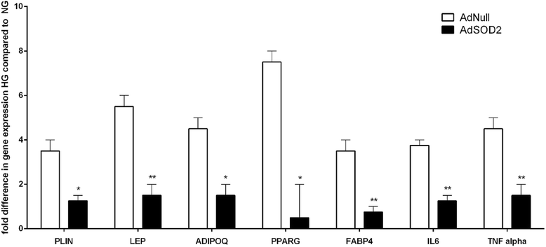 Fig. 11