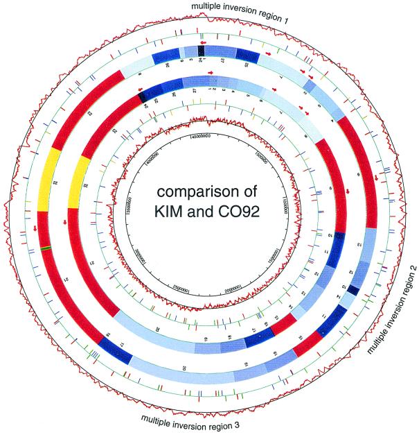 FIG. 2.