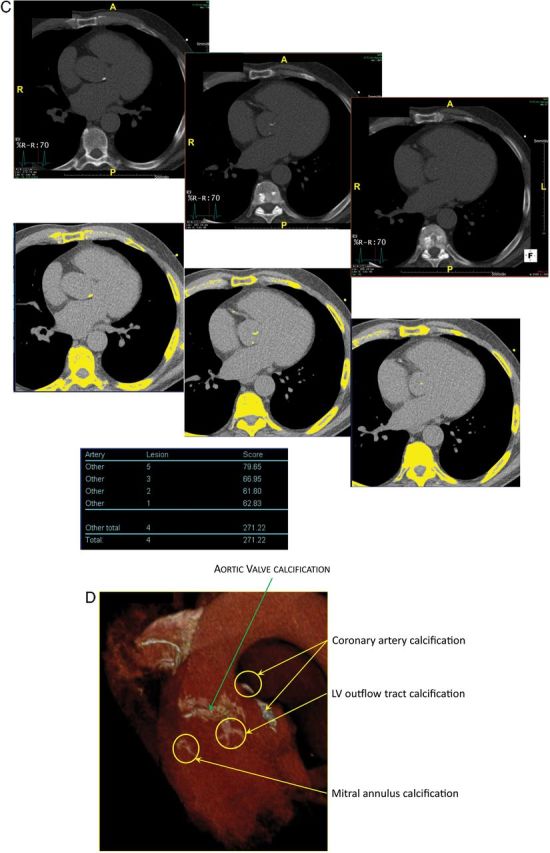 Figure 4