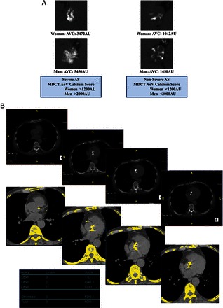 Figure 4