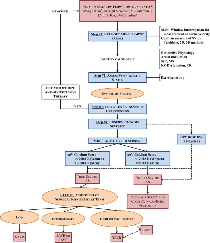 Figure 6