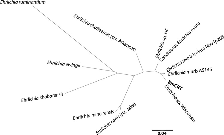 FIG 2