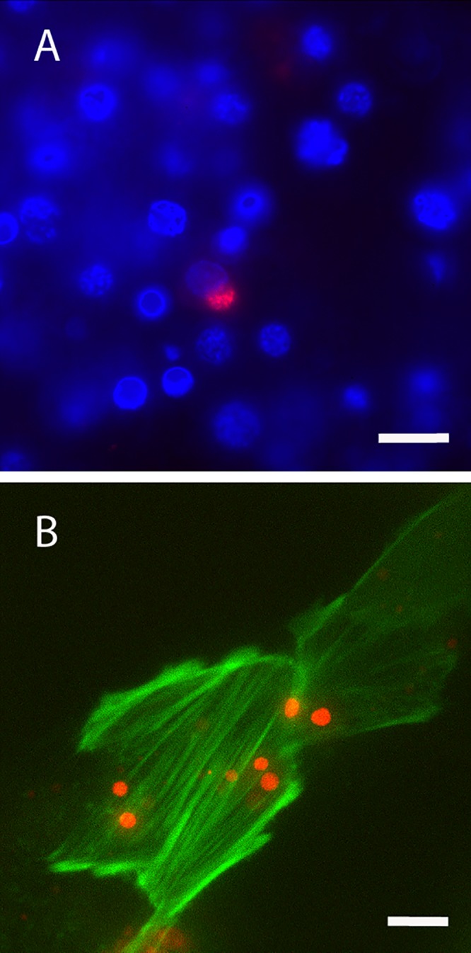 FIG 6