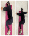 Figure 1d