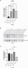 Figure 2—figure supplement 1.