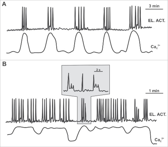 Figure 5.