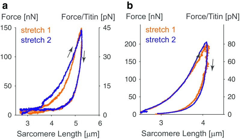 Fig. 9