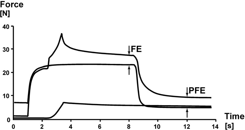 Fig. 5