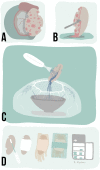 Fig. 2