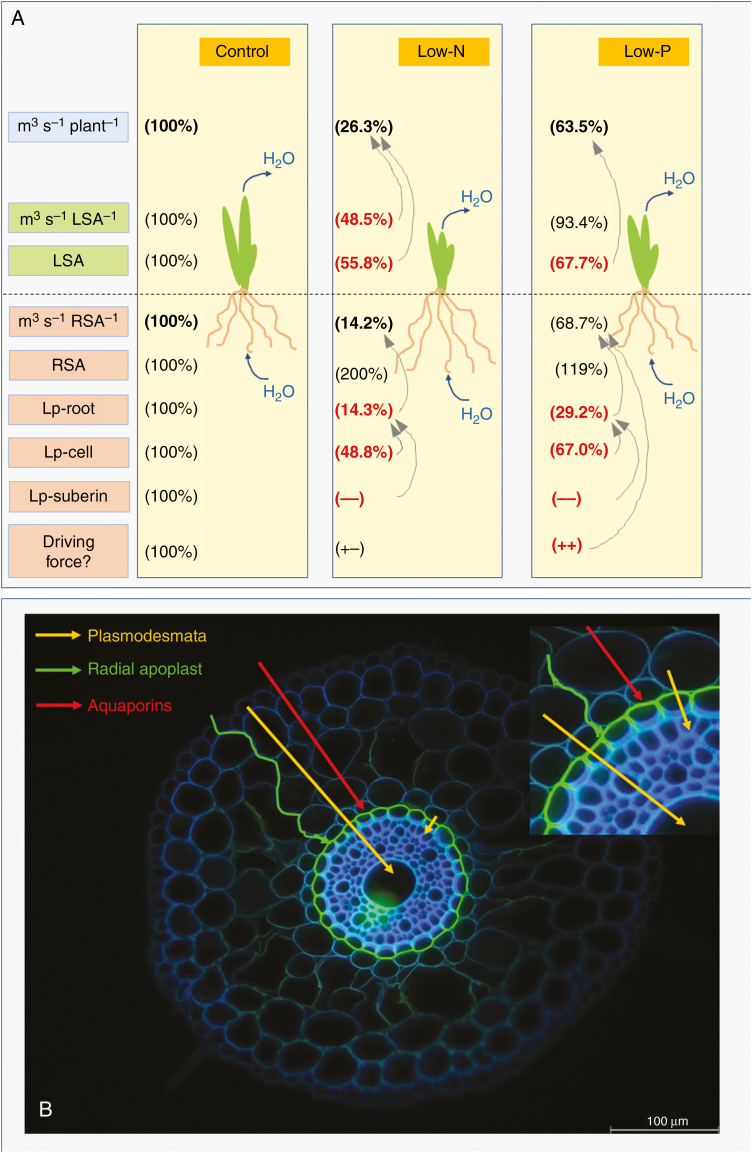 Fig. 12.