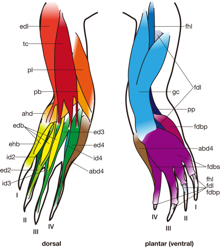 Figure 7